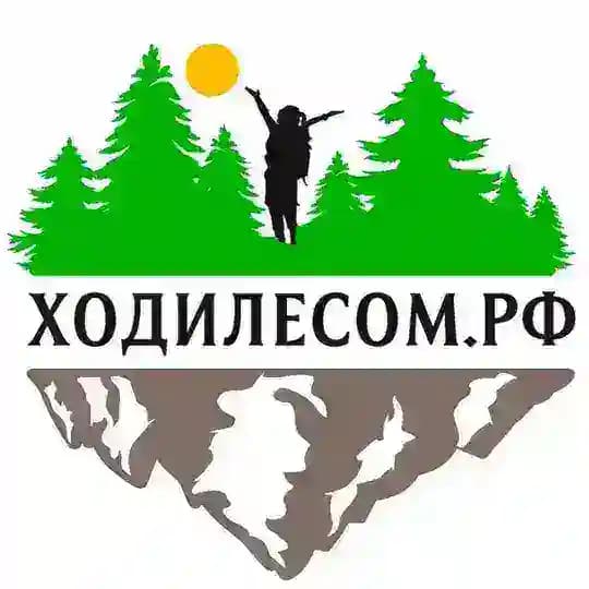 ХодиЛесом | Туры по Приморью