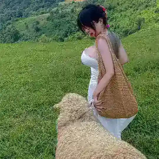 Hội Chăn Cừu | Nhi