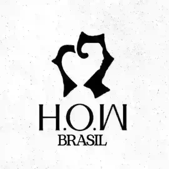 HOW BRASIL
