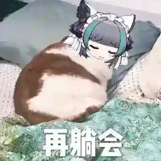 资源库