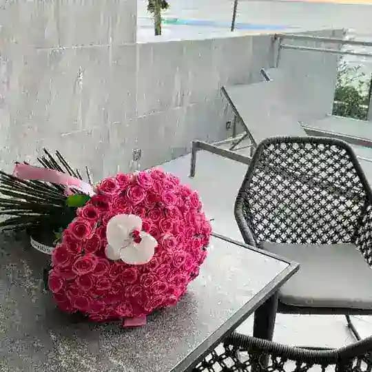 ﮼أقتباسات،ورد🌸،🎼 ﮼