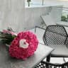 ﮼أقتباسات،ورد🌸،🎼 ﮼