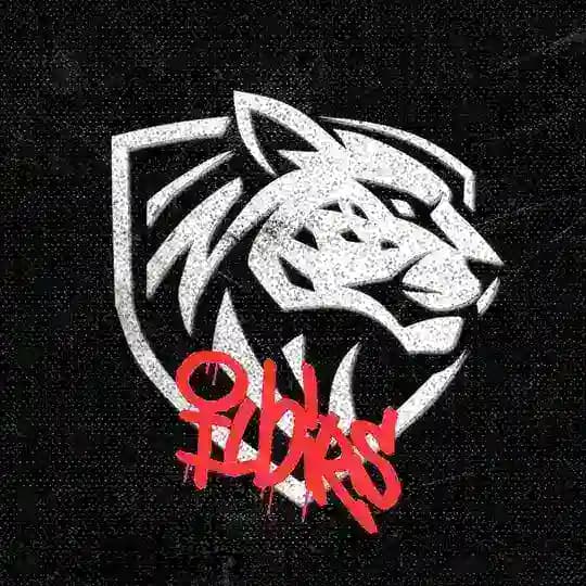 Ilbirs Esports