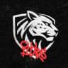 Ilbirs Esports