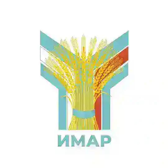 ИМАР МГИМО