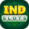 Indslots Agent