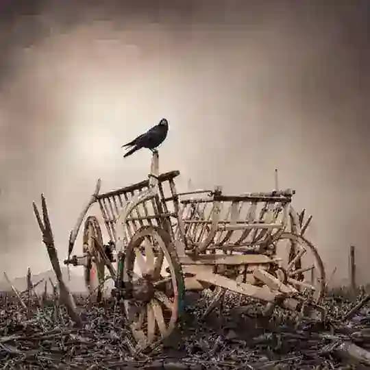 Телега страховщика