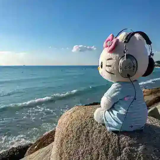 travel with lessy