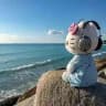 travel with lessy