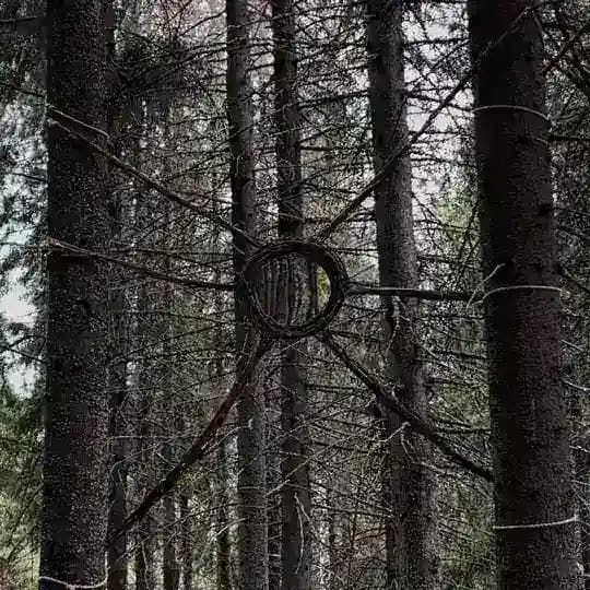 Много единиц