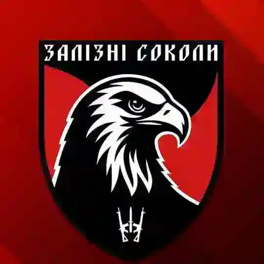 Залізні соколи | 67 ОМБр
