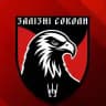 Залізні соколи | 67 ОМБр