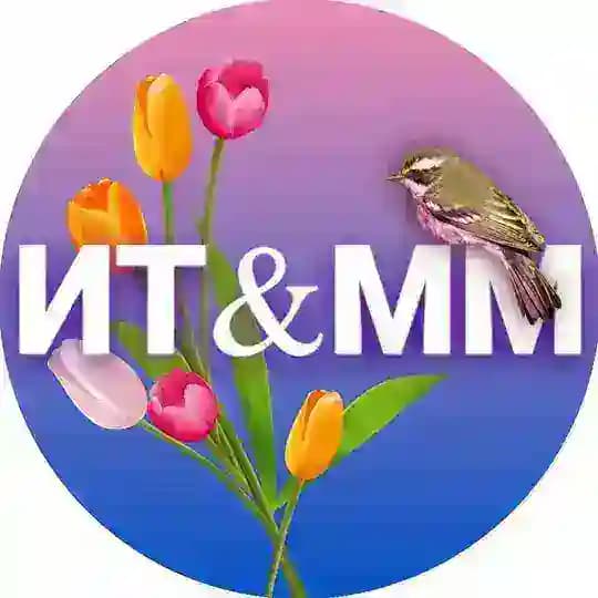 Институт ИТММ Университета Лобачевского