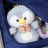 iur’s closet