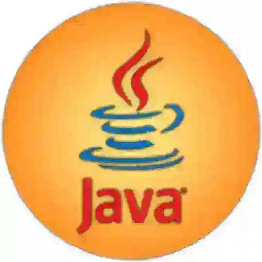 Java Geek
