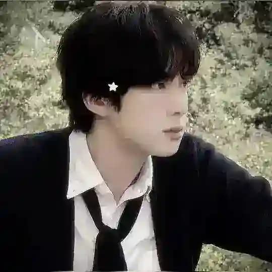 SEOKJIN🇮🇳 Profile