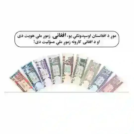 کندهار دالر