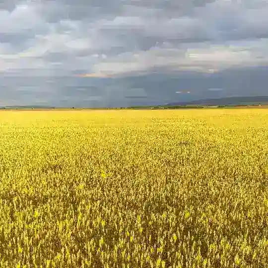 сборы после провокаций в Баймаке