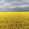 сборы после провокаций в Баймаке