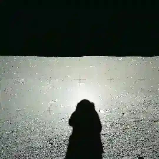 Карпов, зачем?
