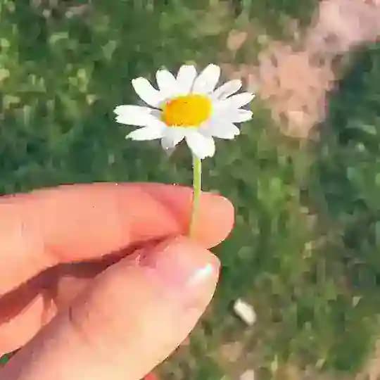 دکلمه با کتایون اسماعیلی