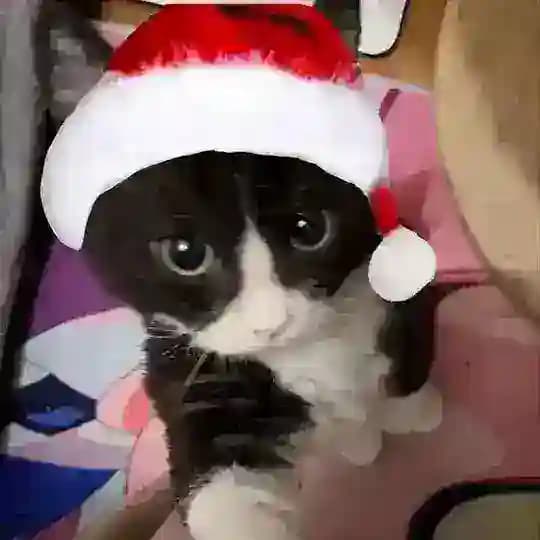 Частинка кави 🦋ྀི