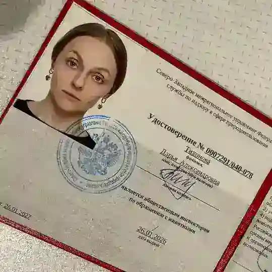Кискин дом