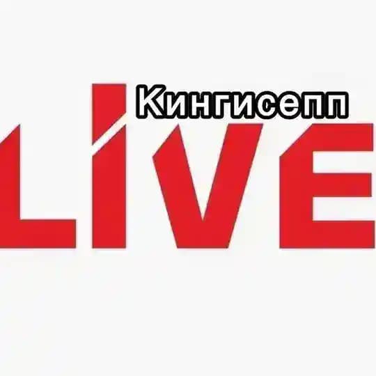 Кингисепп | Live