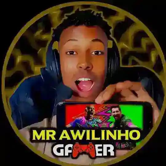 mr awilinho store