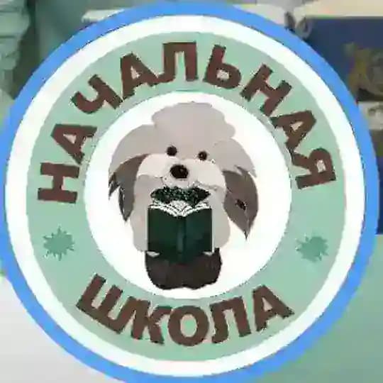 СЕКРЕТЫ НАЧАЛЬНОЙ ШКОЛЫ
