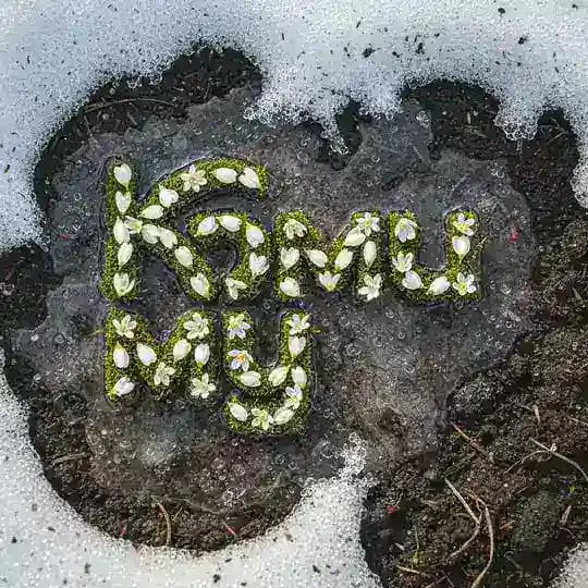 Коми му