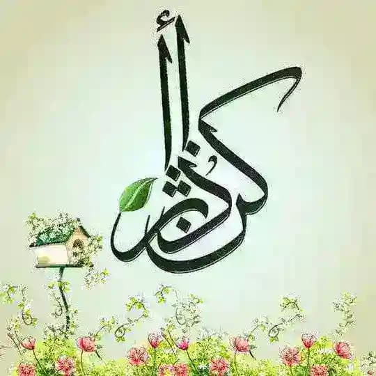 كن ذا أثر "💚 Profile