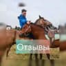 ЗаКонные Выходные | Отзывы