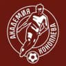 Акрон-Академия Коноплёва