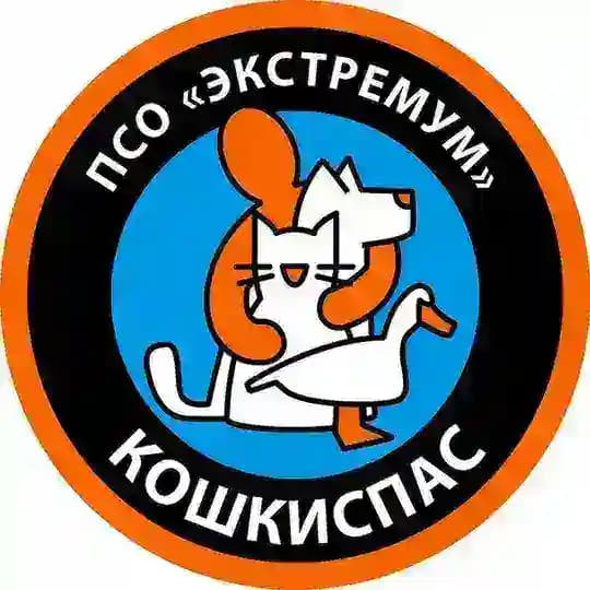 Кошкиспас