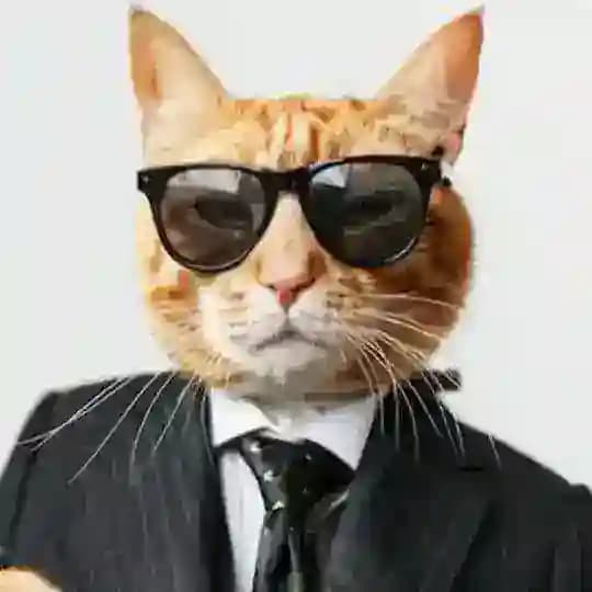 Финансовый диссидент от Котского