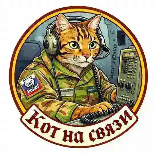 Кот на связи.