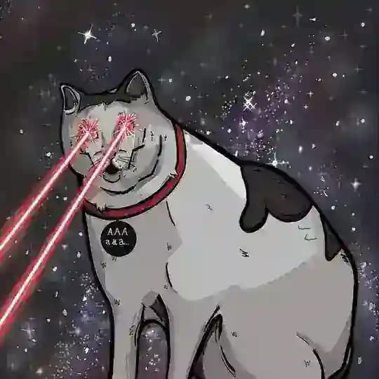 мемы про котов