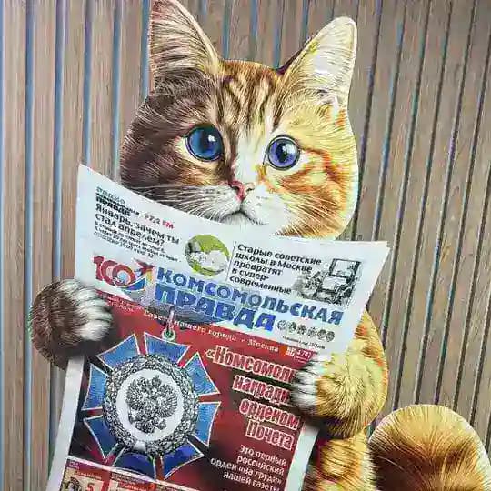 КП Ростов-на-Дону. Новости региона