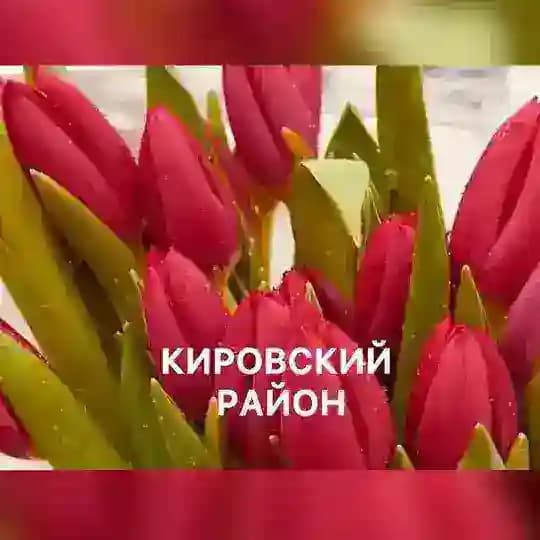 Кировский район | Красноярск