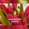 Кировский район | Красноярск