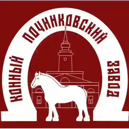 Починковский конный завод