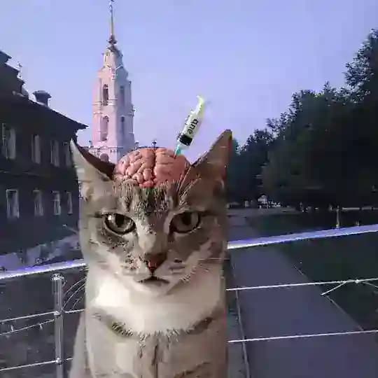 la græd