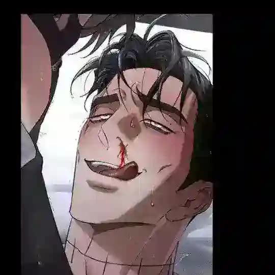 𝗟𝗮 𝗘𝘀𝗾𝘂𝗶𝗻𝗮 𝗱𝗲𝗹 𝗬𝗮𝗼𝗶 🔥 Profile