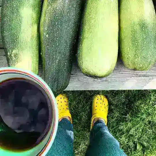 Кабачковый Латте Profile