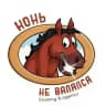 КОНЬ НЕ ВАЛЯЛСЯ 🐴