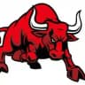 Finobulls