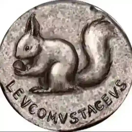 Leucomustaceus