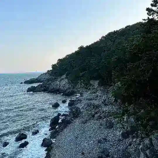 liangscloset 🤍
