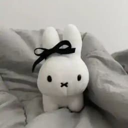 ⋆౨ৎ˚⟡ lianne’s locker🐰ྀི ᡣ𐭩⊹₊ ⋆ Profile